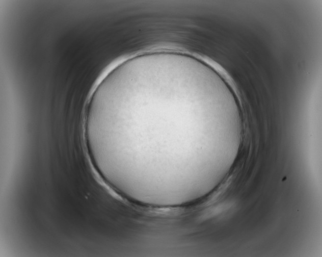 X0000083551390200703091545