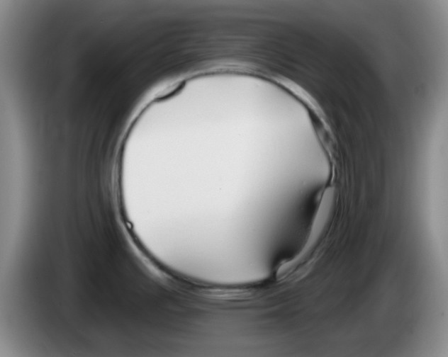 X0000083551391200703091545