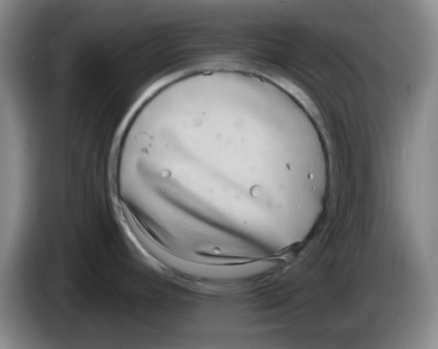 X0000083551392200703091545