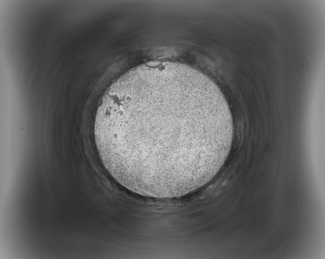 X0000083551393200703091544