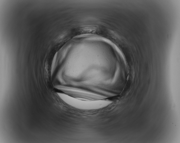 X0000083551394200703091544