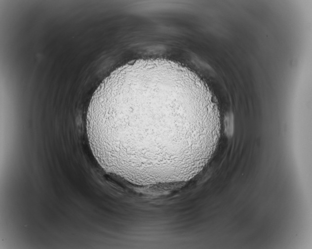 X0000083551395200703091544