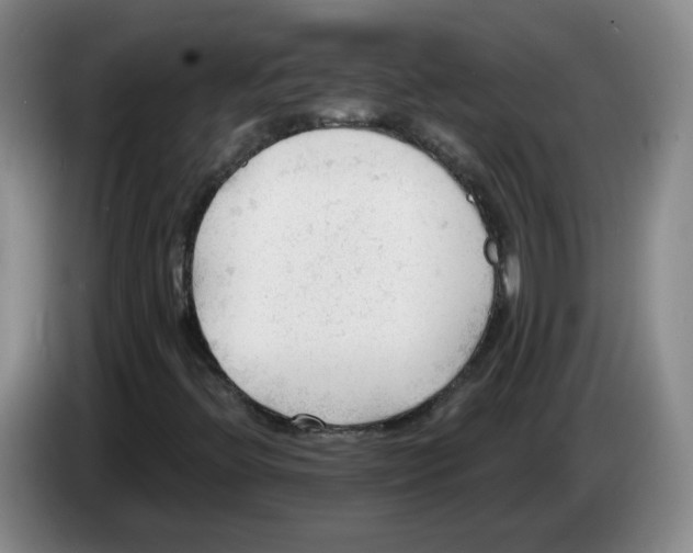 X0000083551396200703091544