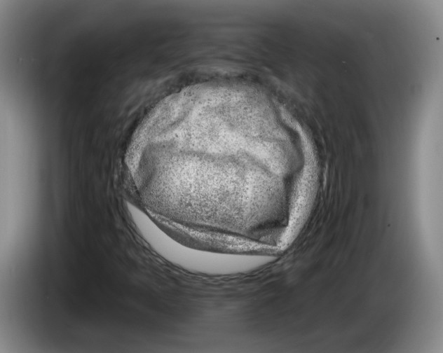 X0000083551397200703091544