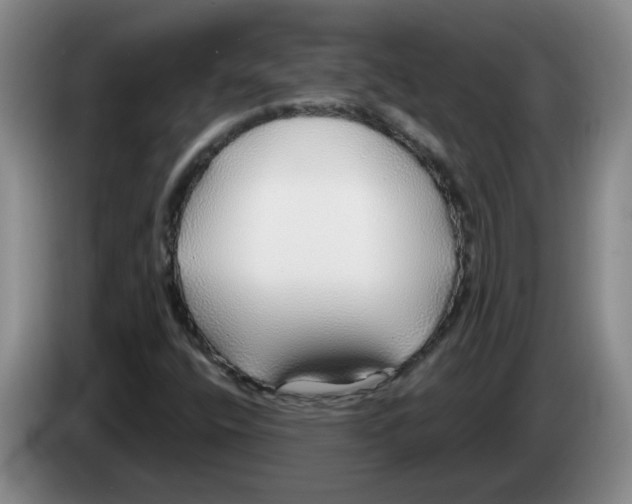 X0000083551400200703091544