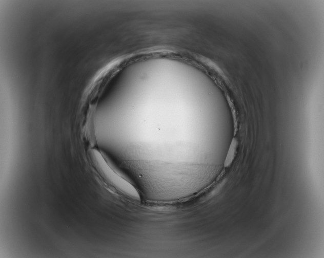 X0000083551406200703091544