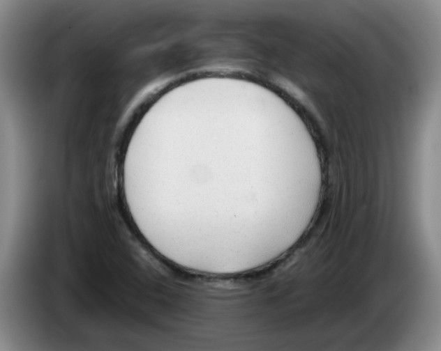 X0000083551408200703091544