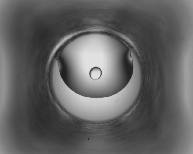 X0000083551414200703091544