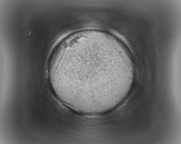 X0000083551415200703091544
