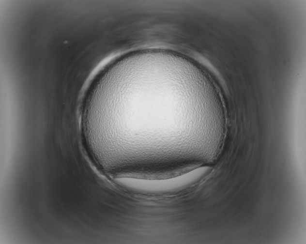 X0000083551416200703091544