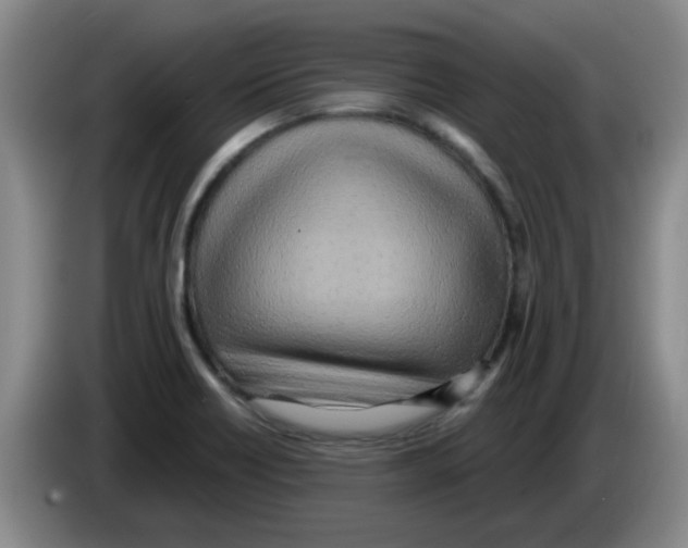 X0000083551418200703091545