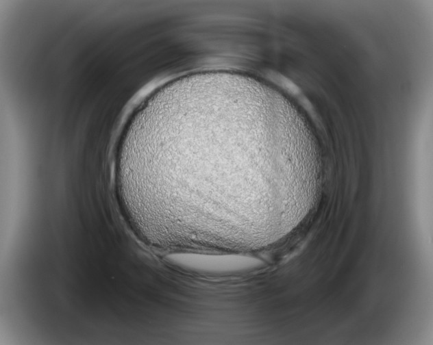 X0000083551419200703091545