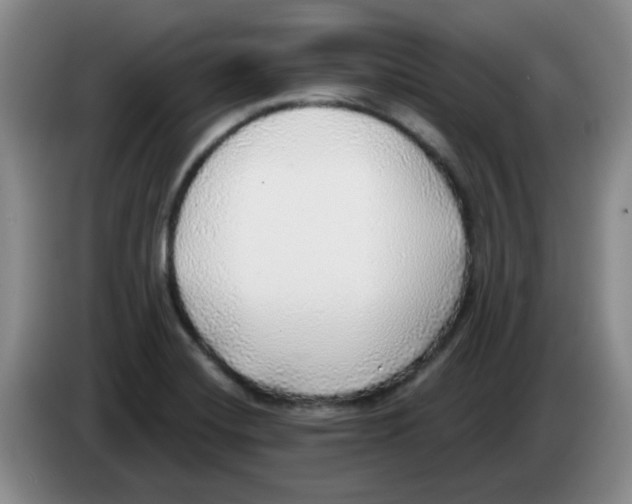 X0000083551420200703091545