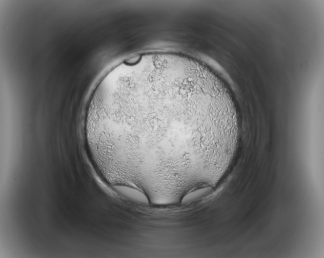 X0000083551421200703091545