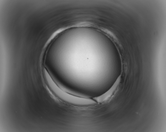 X0000083551422200703091545