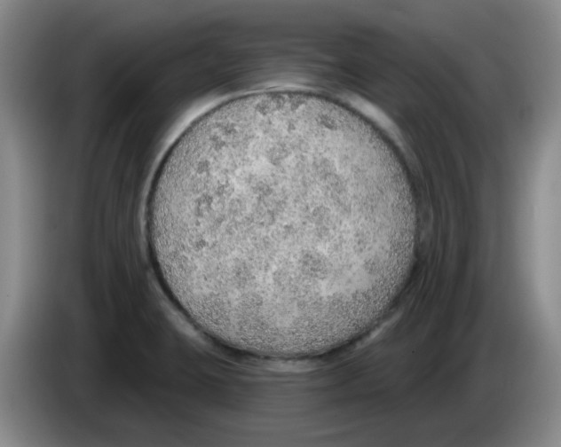 X0000083551423200703091545