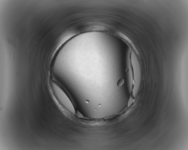 X0000083551426200703091545