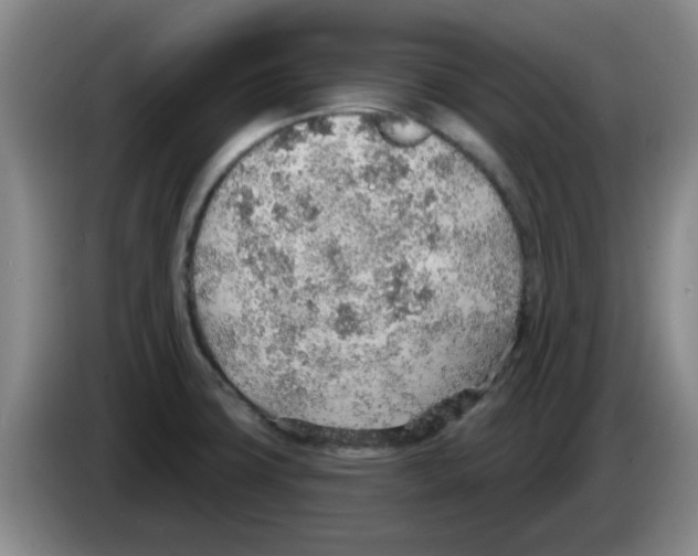X0000083551427200703091545