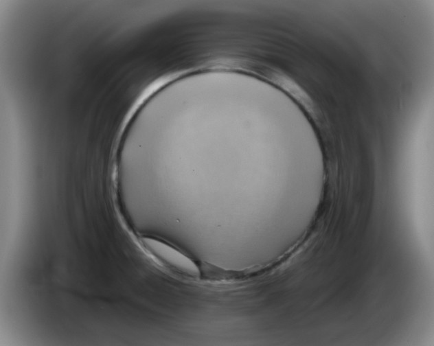 X0000083551428200703091545