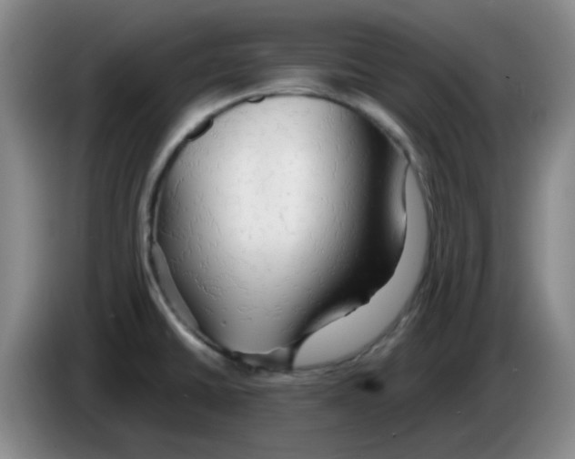 X0000083551430200703091545