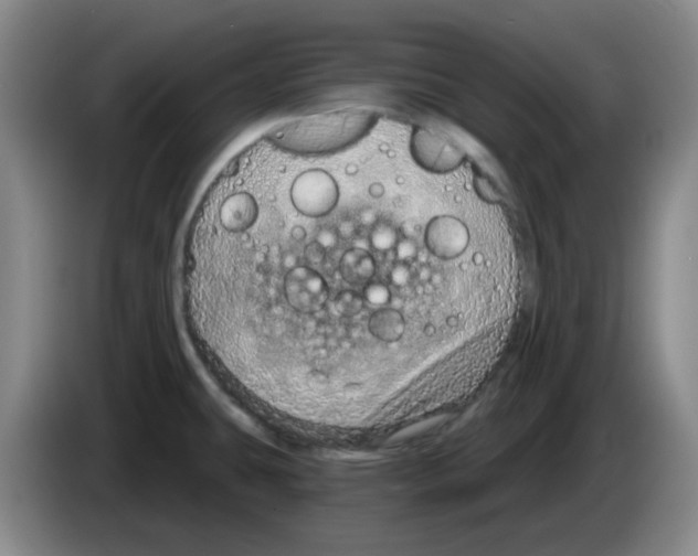 X0000083551431200703091545