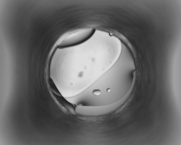 X0000083551432200703091545