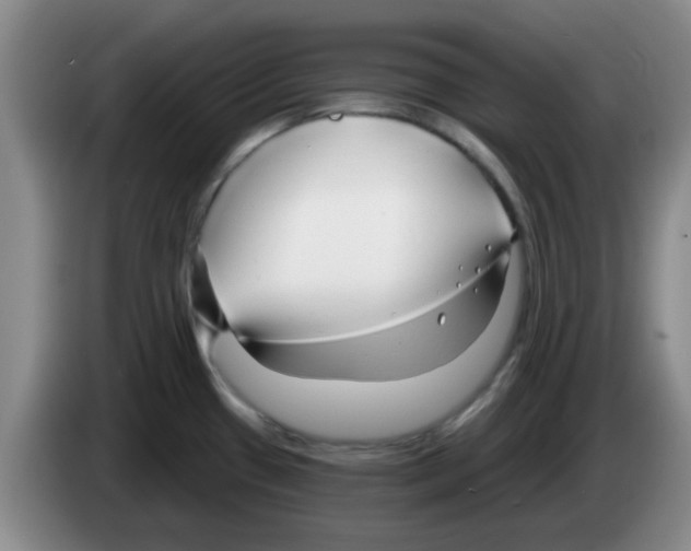 X0000083551433200703091545