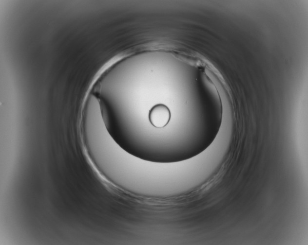 X0000083551434200703091545