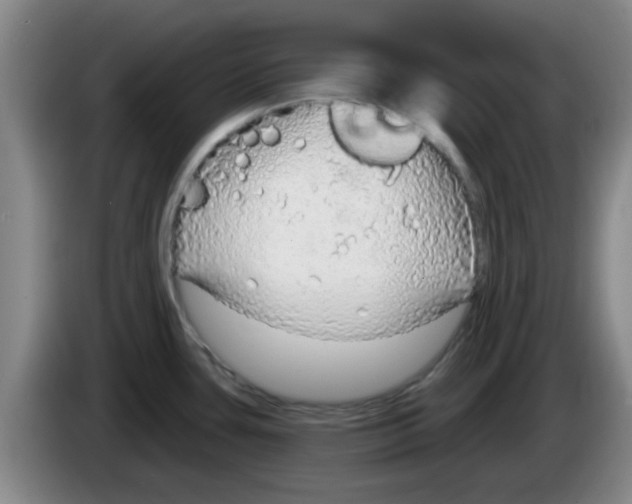 X0000083551435200703091545