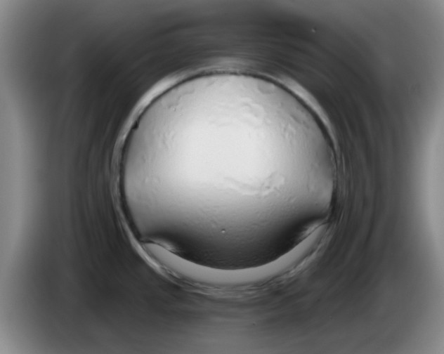 X0000083551437200703091545