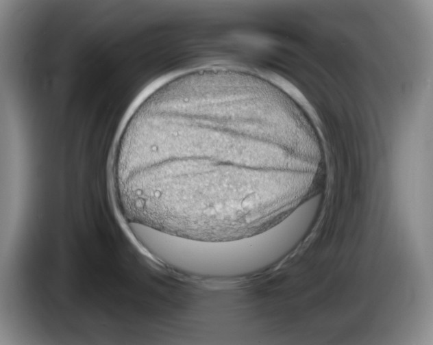 X0000083551440200703091545