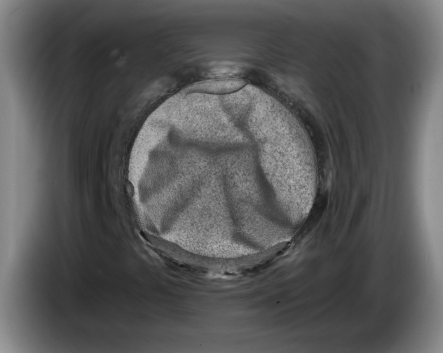 X0000083551441200703091544