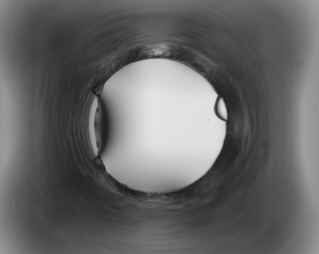 X0000083551442200703091544