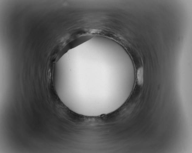 X0000083551443200703091544