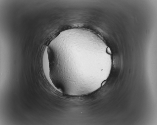 X0000083551444200703091544