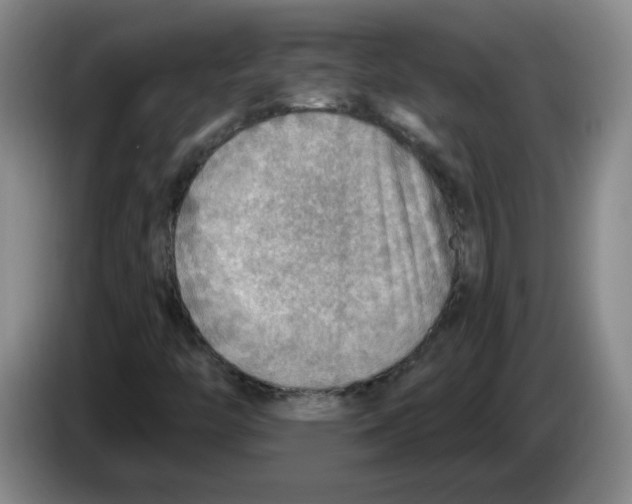 X0000083551446200703091544