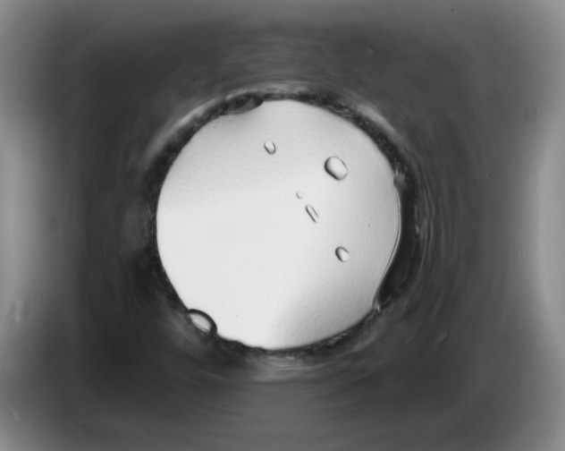 X0000083551448200703091544