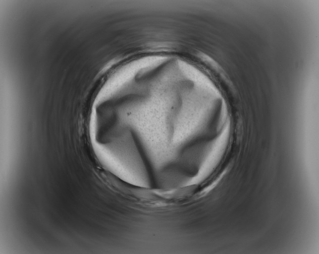 X0000083551449200703091544