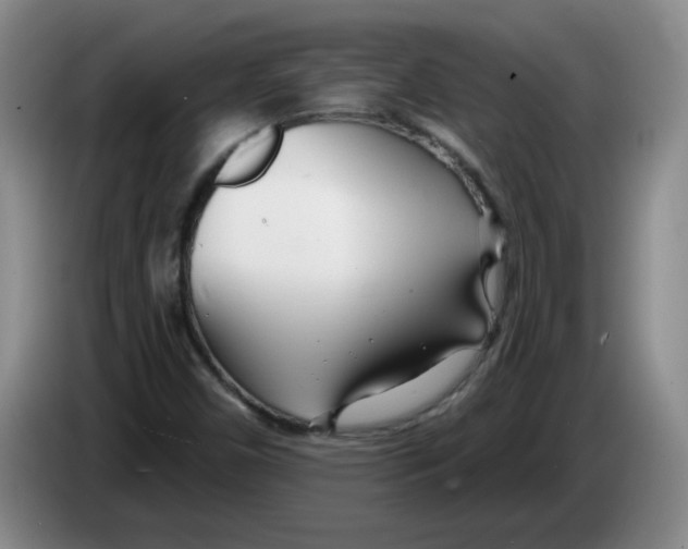 X0000083551450200703091544