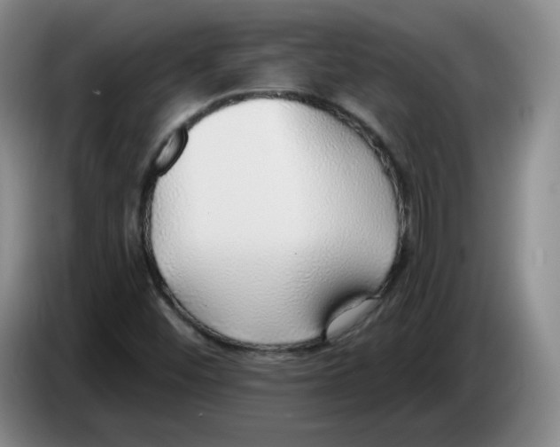 X0000083551452200703091544