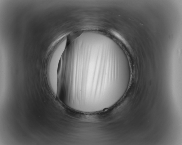 X0000083551453200703091544