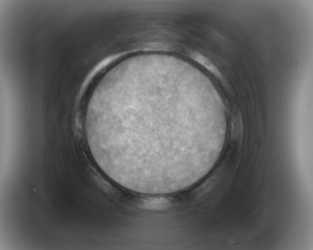 X0000083551454200703091544