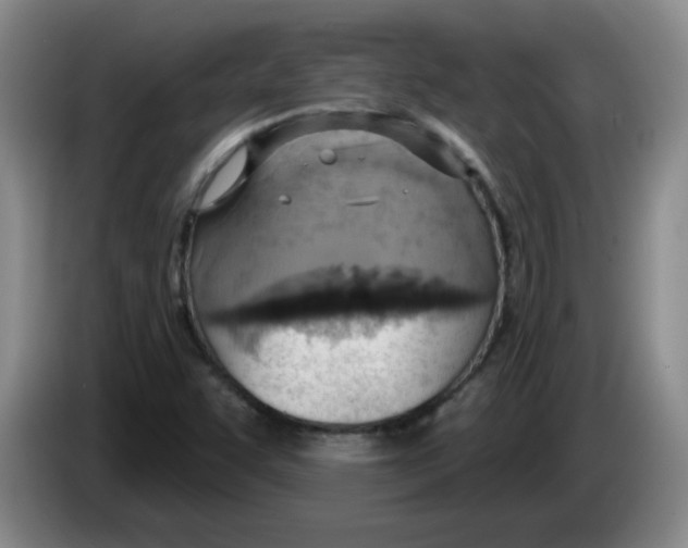 X0000083551455200703091544