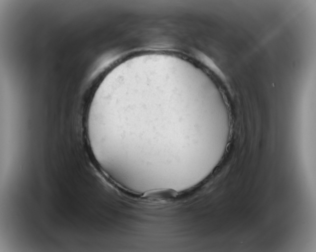 X0000083551456200703091544