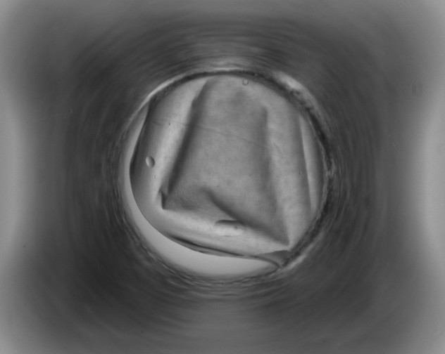 X0000083551457200703091544