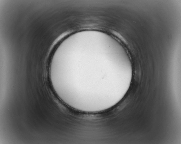 X0000083551458200703091544