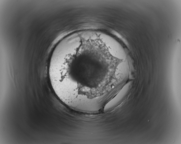 X0000083551459200703091544