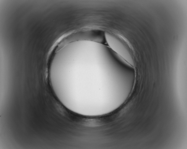 X0000083551461200703091544