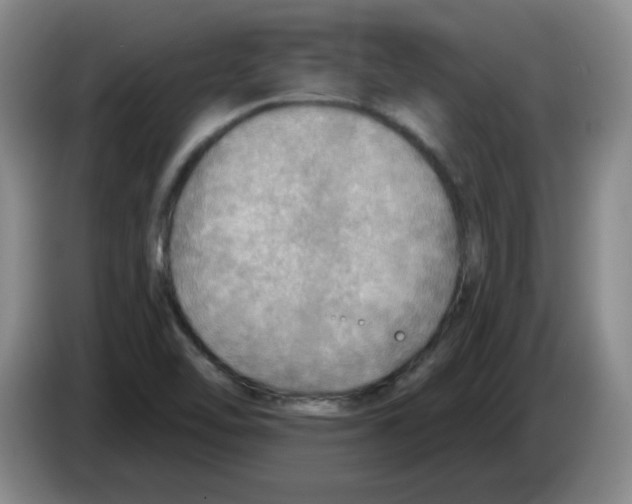 X0000083551462200703091544