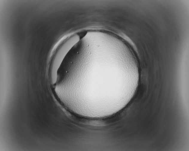 X0000083551464200703091544